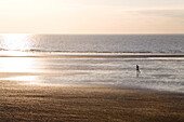 A Runner On The Beach, North Sea, Belgium