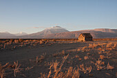 Cerro Paniri, Antofagasta Region, Chile