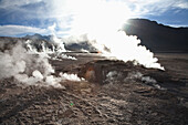 Tatio Geysers, Antofagasta Region, Chile