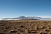 Aucanquilcha Volcano & Salar De Alconcha Salt Pan Covered By Fog, Antofagasta Region, Chile