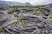 lava flowing in small lobes, called pahoehoe or cow's dung lava, piton de la fournaise (peak of the furnace) or 'the volcanoö, reunion island, france, dom-tom