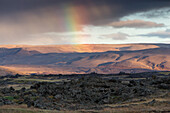 view of myvatn, northern iceland in the region of the volcano krafla, iceland, europe