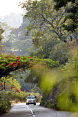 Conoor - Mettupalayam Landstrasse, Nilgiri Hills, Western Ghats, Tamil Nadu, Indien