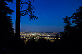 Zurich at night, View from the Uetliberg, Zurich, Switzerland