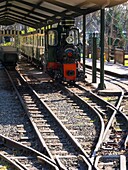 France, Paris, Bois de Boulogne, Jardin d'Acclimatation, Petit train (Small train)