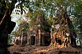 Camdodia, Preah Vihear province, Koh Ker site, Prasat Pram temple