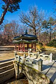 Korea, Seoul City, Changdeokgung Palace (W,H,), the Secret Garden