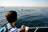 Sultanate of Oman a tourist is watching dolphins jumping in the sea from a boat