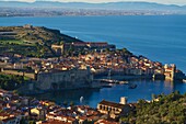 Europe, France, Languedoc Roussillon, Pyrenees Orientales, Collioure
