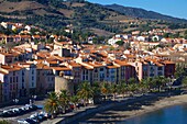 Europe, France, Languedoc Roussillon, Pyrenees Orientales, Collioure, the city center