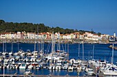 Europe, France, Languedoc Roussillon, Pyrenees Orientales, Port Vendres harbor plaissance