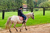 Young girl ridind a horse