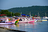 Fishing boat in Paraty bay , State of  Rio de Janeiro, Brazil, South America