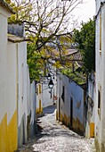 Portugal, narrow street in Evora