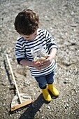 3 years old boy looking for sea shells on the beach