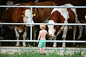 Kind mit Kühen am Wendelstein, Oberbayern, Bayern, Deutschland