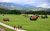 meadows near Garmisch-Partenkirchen, Upper Bavaria, Bavaria, Germany