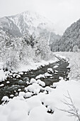 verschneites Bachbett, bei Schoppernau, Bezirk Bregenz, Bregenzerwald, Vorarlberg, Österreich