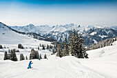 Diadamskopf ski area, near Schoppernau, Bregenz district, Vorarlberg, Austria