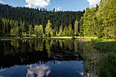 Buhlbachsee, near Baiersbronn, Black Forest National Park, Black Forest, Baden-Württemberg, Germany
