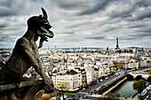 Gargoyle sculpture over Paris cityscape, Ile-de-France, France