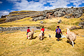 Hispanic mother and children walking llamas in rural landscape