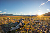 Los Glaciares National Park, UNESCO World Heritage Site, Argentina, South America