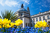 City Hall, Cardiff, Wales, United Kingdom, Europe