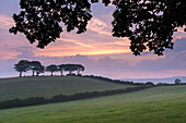 Rural countryside views at sunrise, Luccombe, Exmoor National Park, Somerset, England, United Kingdom, Europe