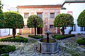 Patio of the Museo de Bellas Artes and Museo Julio Romero de Torres, Cordoba, Andalucia, Spain, Europe