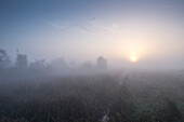 Teichlandschaft im Morgengrauen, kurz nach Sonnenaufgang im Herbst. Kraniche fliegen durch den Nebel über die Wiesen - Linum in Brandenburg, nördlich von Berlin, Deutschland