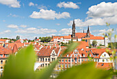 der Meißner Dom und die Albrechtsburg auf dem Burgberg prägen die Silhouette von Meissen, Meißen, Sachsen, Deutschland, Europa