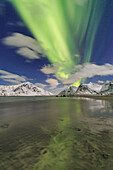 Northern Lights (aurora borealis) on Skagsanden sky, Lofoten Islands, Arctic, Norway, Scandinavia, Europe