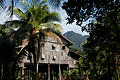 Traditional native Iban longhouse in Borneo, Malaysia, Southeast Asia, Asia