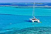 view from Jamesby island to sailing ships, catamaran and swimming tourists, sea, Horseshoe Reef, Tobago Cays, St. Vincent, Saint Vincent and the Grenadines, Lesser Antilles, West Indies, Windward Islands, Antilles, Caribbean, Central America