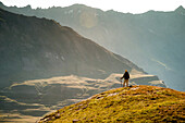 Mid-Adult Male Hiker Viewing Mountains Panorama at Sunset, Rear View, Col du Petit Mont Cenis, Val Cenis Vanoise, France