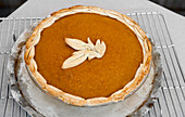 Pumpkin Pie