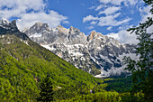 Bewaldete Berge und Prisojnik Bergmassiv, Prisanc, Sava Tal, Vrsics-Pass, Triglav Nationalpark, Julische Alpen, Slowenien, Europa