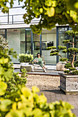 Frau sitzt auf einer Terasse und liest im iPad, coodo moderne Art zu Wohnen, moderne Architektur in Hamburg, Hamburg, Norddeutschland, Deutschland