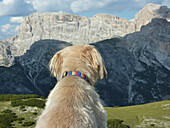 View from top of Strudelkopf to Sexten Dolomites, South Tyrol, Italy