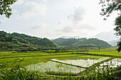 Landscape of rice fields from a small village near to Wuyuan, Jiangxi province, China