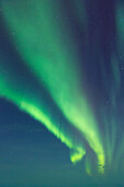 Northern Lights dance in clear skies above Barrow, Arctic Alaska, Alaska, United States of America