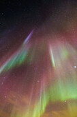 Northern Lights dance in clear skies above Barrow, Arctic Alaska, Alaska, United States of America