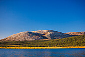 Golden grasses and green evergreen trees line the hills surrounding the Noatak River as it passes through the Igichuk Hills before emptying into Kotzebue Sound, Noatak, Alaska, United States of America