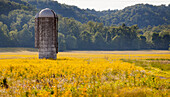 A lone silo standing in the middle of a field of golden wildflowers, Kentucky, United States of America