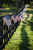 Black wooden fence trailing off with small US flags hanging from each post, United States of America