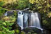 View of Whatcom Falls near Bellingham, Washington, USA, summer