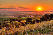 Scenic view of the Mississippi River Valley and flowers along the Great River Road at sunrise, near Balltown, Iowa, United States of America