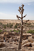 Panorama Of Tireli On The Bandiagara Escarpment, Mali