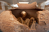 Skeleton In A Pot On Display At The Archaeological Museum R. P. Gustavo Le Paige, San Pedro De Atacama, Antofagasta Region, Chile